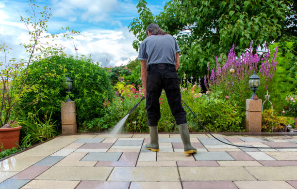 Animal Enclosure Cleaning in Blue Ridge, TX