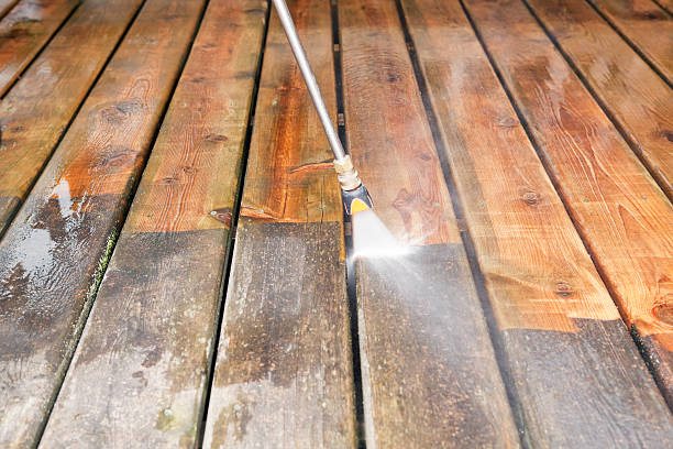 Best Animal Enclosure Cleaning  in Blue Ridge, TX